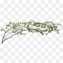 ��֦С������Ҷpng�ز�-������