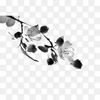 ˮī»Ê÷Ö¦Ê÷ҶЧ¹ûËØ²Ä-¿ÕÈôÍø ˮī»Ê÷Ö¦Ê÷ҶЧ¹ûËØ²Ä-¿ÕÈôÍø