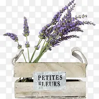 Þ¹Ò²ݻ¨Àº»¨ºÐʵÎï-¿ÕÈôÍø Þ¹Ò²ݻ¨Àº»¨ºÐʵÎï-¿ÕÈôÍø