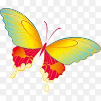 Ψ����ʺ���-������