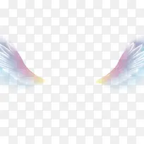 翅膀-空若网 翅膀-空若网