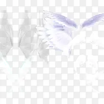 ���ȫ��-������