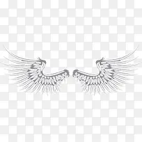 展翅的矢量白色羽翼-空若网 展翅的矢量白色羽翼-空若网