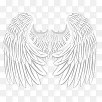 对称白色丰满的羽翼-空若网 对称白色丰满的羽翼-空若网