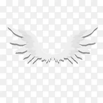 白色卡通翅膀矢量图-空若网 白色卡通翅膀矢量图-空若网