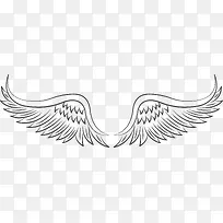 灰白色对称的翅膀羽翼-空若网 灰白色对称的翅膀羽翼-空若网