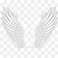 白色大型矢量卡通翅膀-空若网 白色大型矢量卡通翅膀-空若网