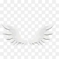 ʸ����ƽ��ɫ��ʹ���-������