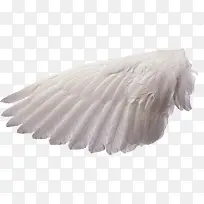 卡通手绘一个翅膀-空若网 卡通手绘一个翅膀-空若网