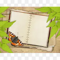 ��Ҷ��ʼǱ�����-������