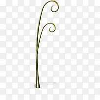 草藤-空若网 草藤-空若网