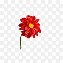 ��ͨ�ֻ��ɫ����-������