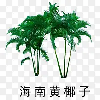 »¨²ÝÊ÷Ä¾ËØ²Ä-¿ÕÈôÍø »¨²ÝÊ÷Ä¾ËØ²Ä-¿ÕÈôÍø