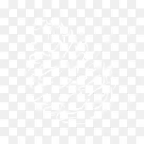 树 树木 木 植物 树林-空若网 树 树木 木 植物 树林-空若网