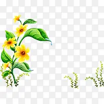 �� ��ľ ľ-������