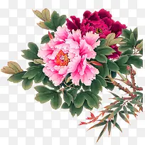 ��ɫĵ����֦װ��ͼ��-������