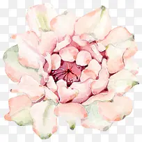 水彩粉色花朵-空若网 水彩粉色花朵-空若网