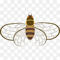 椭圆形矢量卡通蝉-空若网 椭圆形矢量卡通蝉-空若网