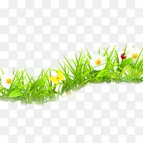 ��ɫ��������-������