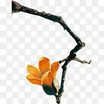 水墨画逼真树枝盛开花朵-空若网 水墨画逼真树枝盛开花朵-空若网