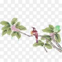 ��֦�ϵ���-������