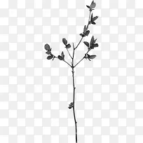 黑色树枝-空若网 黑色树枝-空若网
