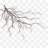 С���º�ɫ��֦-������