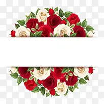 唯美多彩鲜花-空若网 唯美多彩鲜花-空若网