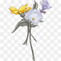 手绘多彩花朵花瓣-空若网 手绘多彩花朵花瓣-空若网