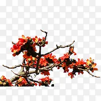 һ�س�ɫľ�޻�-������