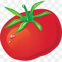 番茄西红柿PNG矢量素材-空若网 番茄西红柿PNG矢量素材-空若网