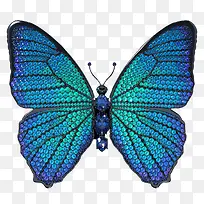 艺术 奢侈品 蝴蝶 钻石-空若网 艺术 奢侈品 蝴蝶 钻石-空若网