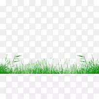 ²Ýƺ²Ýµé²ÝµØ²Ý×ÀÃæ±ÚÖ½-²Ýƺ-¿ÕÈôÍø ²Ýƺ²Ýµé²ÝµØ²Ý×ÀÃæ±ÚÖ½-²Ýƺ-¿ÕÈôÍø