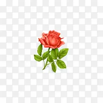 ��������õ�廨PNGͼ��-������