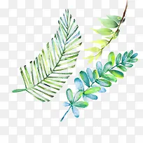 春天蓝绿色树叶-空若网 春天蓝绿色树叶-空若网