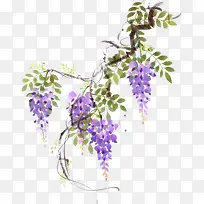 手绘紫色藤蔓花朵素材-空若网 手绘紫色藤蔓花朵素材-空若网