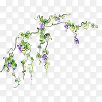 手绘清新紫色花藤蔓-空若网 手绘清新紫色花藤蔓-空若网