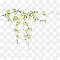 手绘清新藤蔓-空若网 手绘清新藤蔓-空若网