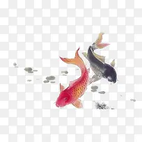 Ë®²ÊÀðÓã-¿ÕÈôÍø Ë®²ÊÀðÓã-¿ÕÈôÍø