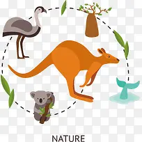 澳大利亚自然分光介绍-空若网 澳大利亚自然分光介绍-空若网