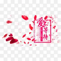 爱不等待-空若网 爱不等待-空若网