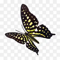 ����-������