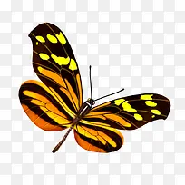 ����-������