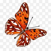 ºûµû-¿ÕÈôÍø ºûµû-¿ÕÈôÍø