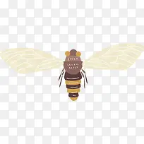 张开的矢量卡通昆虫蝉-空若网 张开的矢量卡通昆虫蝉-空若网