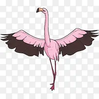 �ſ�����ɫ������-������