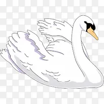 张开翅膀的大鹅-空若网 张开翅膀的大鹅-空若网