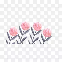 开花植物郁金香切花-水彩画婚礼-空若网 开花植物郁金香切花-水彩画婚礼-空若网
