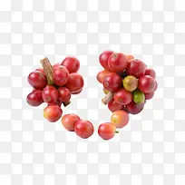 红色成熟的咖啡果实物-空若网 红色成熟的咖啡果实物-空若网