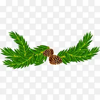 绿色枝条松果-空若网 绿色枝条松果-空若网